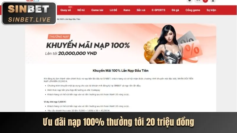 Hoàn trả hàng ngày 566win.net